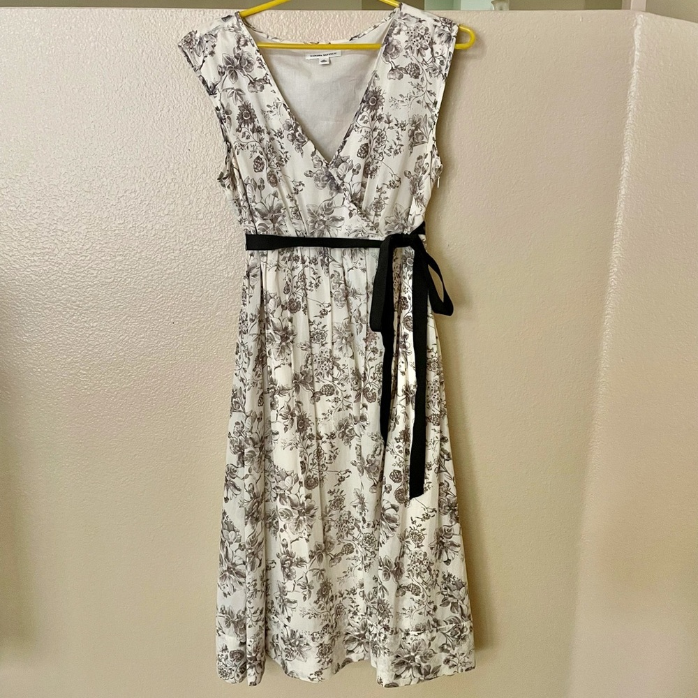 Banana Republic Toile Dress